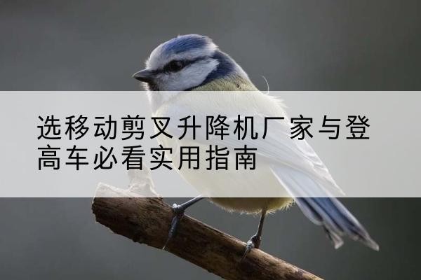 修文电动升降机厂家-选移动剪叉升降机厂家与登高车必看实用指南