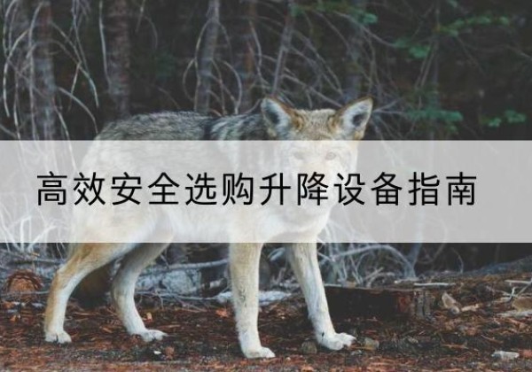 修文升降货梯厂家推荐-*安全选购升降设备指南